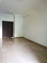 Tanglin Park (D10), Condominium #565680541